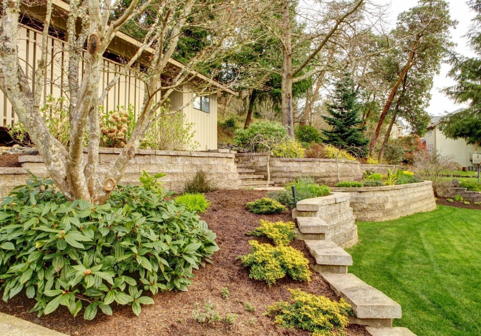 A garden with trees and shrubs in the background.